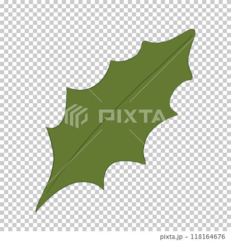 Green leaf of holly plant, color illustration	 118164676