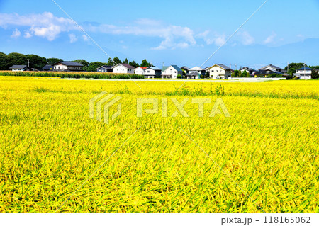 長野県伊那市高遠町より木曽駒ヶ岳方面を望む(長野県伊那市)【2024.9】 118165062
