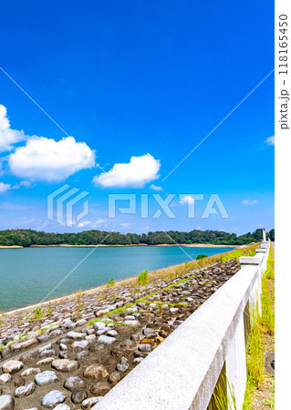 多摩湖と取水塔 多摩湖と取水塔 118165450