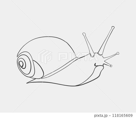 Line Art Illustration of Snail with Shell 118165609