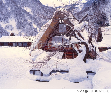 「世界文化遺産」五箇山、菅沼合掌造り集落の雪景色/国指定重要伝統的建造物群保存地区/国指定史跡 「世界文化遺産」五箇山、菅沼合掌造り集落の雪景色/国指定重要伝統的建造物群保存地区/国指定史跡 118165694