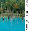 美しい青の反射 — 北海道白金青い池 美しい青の反射 — 北海道白金青い池 118165838