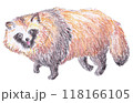 クレヨンで描いたタヌキ 118166105
