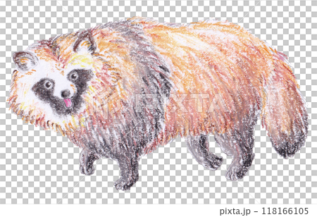 クレヨンで描いたタヌキ 118166105