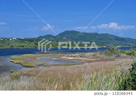 Beautiful aerial vibrant view of Korission Lake Lagoon landscape, Corfu island, Greece with pink flamingos flock, Ionian sea beach and mountains 118166343