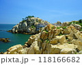 Rocky beach scenery with ocean horizon 118166682