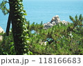 beautiful view on the coast 118166683