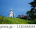 lighthouse on the hill 118166684