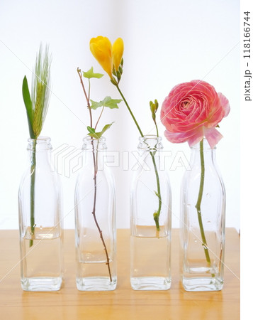 花瓶に生けられた可愛い花【インテリア】 118166744