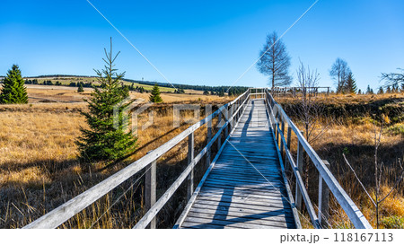 A wooden boardwalk leads through the expansive Bozi Dar Peat Bog, showcasing vibrant vegetation against the backdrop of the Ore Mountains under a clear blue sky. 118167113