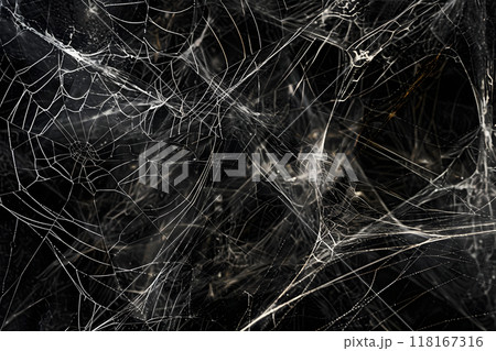 神経細胞のネットワークで 脳科学とアート。蜘蛛の巣 118167316