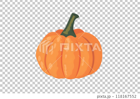 ビビッドなオレンジ色のカボチャのイラスト 118167552