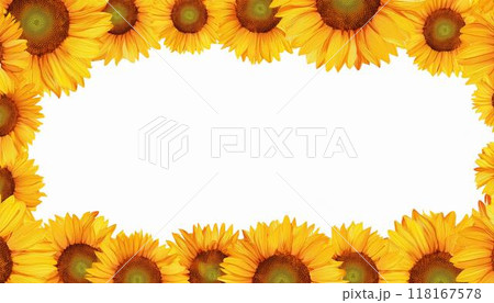 黄色いヒマワリの花のフレーム 118167578
