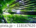鎌倉 118167620