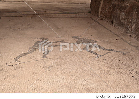 世界遺産ポンペイ遺跡 118167675