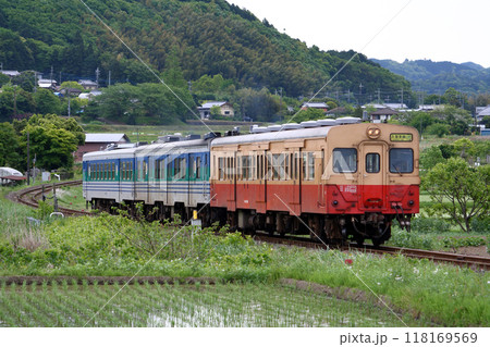 久留里線を走った旧型ディーゼルカー(キハ37+キハ38+キハ30) 久留里線を走った旧型ディーゼルカー(キハ37+キハ38+キハ30) 118169569
