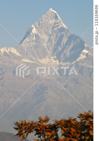 ネパール、ポカラ、ヒマラヤ山脈、マチャプチャレ ネパール、ポカラ、ヒマラヤ山脈、マチャプチャレ 118169686