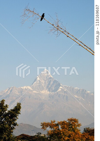 ネパール、ポカラ、ヒマラヤ山脈、マチャプチャレ 118169687