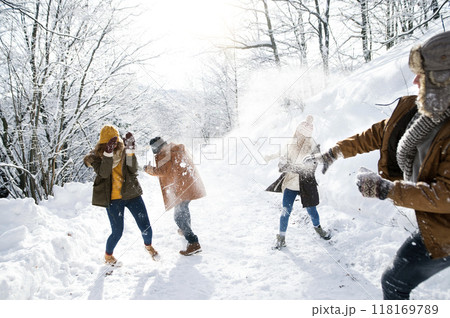 Friends in snowball fight in snowy nature. First snowfall of the season. 118169789