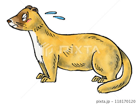 困るイタチ 118170120