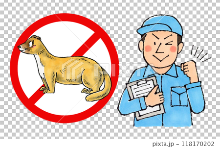 Male worker at a weasel extermination company (weasel prohibition sign) 118170202
