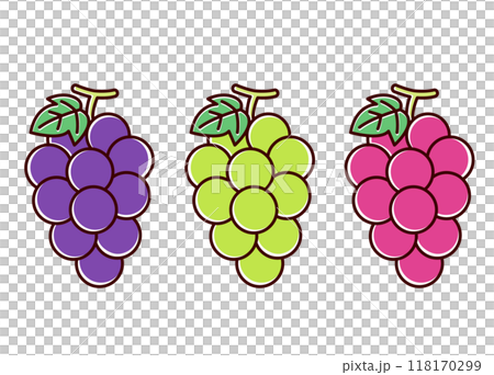 Illustration of three kinds of cute grapes 118170299