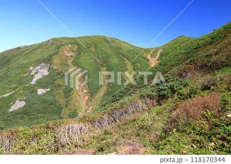 登山道から見たニセイカウシュッペ山山頂方面 登山道から見たニセイカウシュッペ山山頂方面 118170344