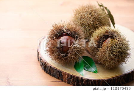 秋の味覚 栗 秋の味覚 栗 118170459