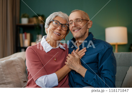 senior couple at home 118171847