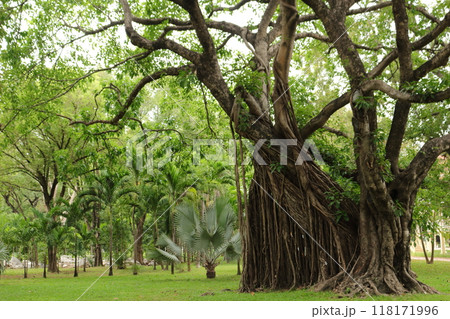 The breathtaking natural 118171996