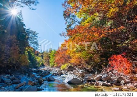赤沢渓谷（秋） 118172021