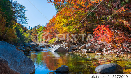赤沢渓谷(秋) 赤沢渓谷(秋) 118172049