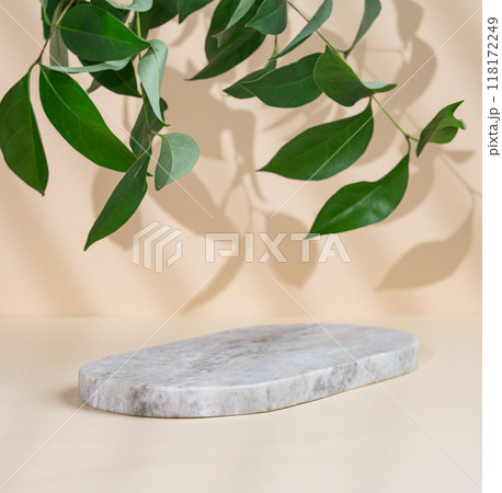 Abstract empty marble board with shadows and green leaves on a beige background.  118172249