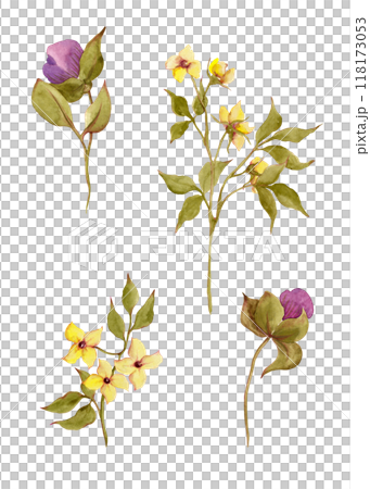 Spring flowers yellow and fuchsia colors. Watercolor garden and wild flowers. Floral large set of wildflowers for your design 118173053