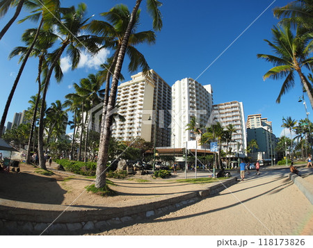 ハワイのワイキキビーチ 118173826