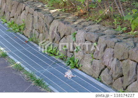 石, 岩, ブロック, 塀, 石垣, 屋外, ストーン, 積み石, 敷石, コンクリート 118174227