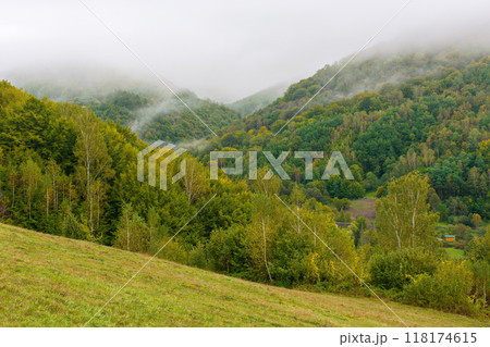 trees behind the meadow down the hill to forest in foggy mountains of ukraine. early autumn in carpathinans trees behind the meadow down the hill to forest in foggy mountains of ukraine. early autumn in carpathinans 118174615