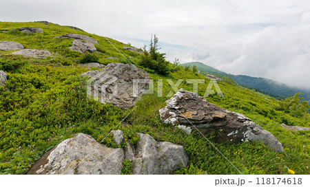 wonderful summer landscape in mountains. grassy meadows. boulders and stones on the hillside. picturesque scene on a cloudy day. outdoor adventures in ukrainian carpathians scenery 118174618