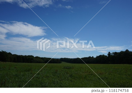 北海道の夏の風景 雄大な牧草地 北海道の夏の風景 雄大な牧草地 118174758