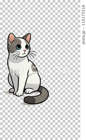 日本のジャパニーズボブテイルのカラー画像。短い尾が特徴で、幸運を象徴する。 118175516