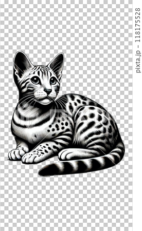 エジプトのエジプシャンマウのモノトーン画像。自然発生したスポット模様が特徴。 118175528
