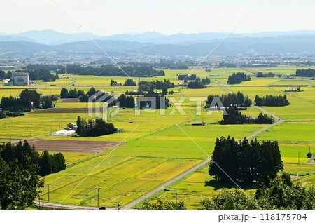 円万寺観音山から見る秋の水田地帯  118175704