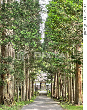 岩手県遠野市:緑に包まれた早池峯神社の美しい参道 118175913
