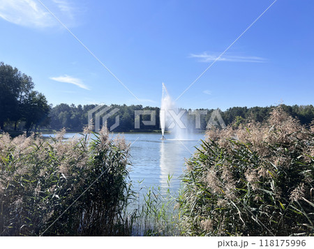 The fountain on the lake in the park. Druskininkai, Lithuania, autumn but sunny day blue sky The fountain on the lake in the park. Druskininkai, Lithuania, autumn but sunny day blue sky 118175996