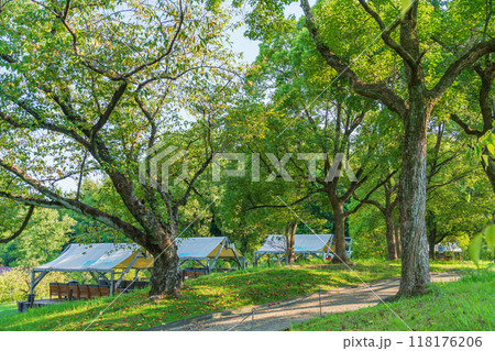 名古屋市農業センター、愛称は「delaふぁーむ」〈愛知県名古屋市〉 118176206