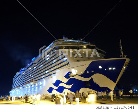 静岡県 日の出ふ頭のロイヤルプリンセス 4月 静岡県 日の出ふ頭のロイヤルプリンセス 4月 118176541