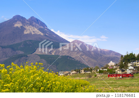 湯布院　由布岳と菜の花畑を走る赤い列車 118176681