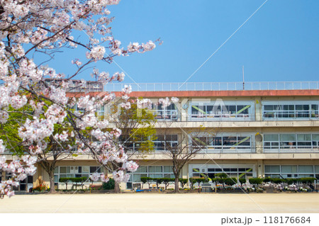 桜と校舎 桜と校舎 118176684