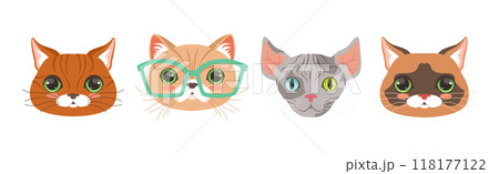 Funny Cat Muzzle and Snout with Whiskers Vector Set Funny Cat Muzzle and Snout with Whiskers Vector Set 118177122