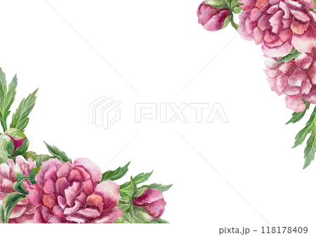Floral frame with lush burgundy peonies in the corners. Hand drawn watercolor illustration isolated on white. For birthday greeting cards, mothers day, wedding invitations, labels. 118178409